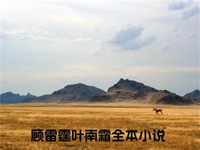 顾雷霆叶南霜正版小说全文阅读-顾雷霆叶南霜小说免费阅读