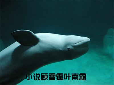 【新书】《顾雷霆叶南霜》全文免费阅读无弹窗大结局-顾雷霆叶南霜全章节免费阅读