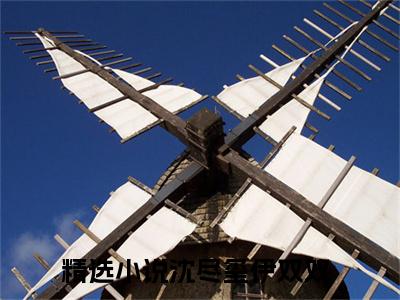 高赞小说沈尽玺伊双双（沈尽玺伊双双小说免费阅读）完结阅读_沈尽玺伊双双全文免费阅读最新章节大结局