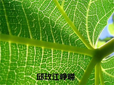 邱玫江峥嵘小说最新章节在线阅读_邱玫江峥嵘在线阅读