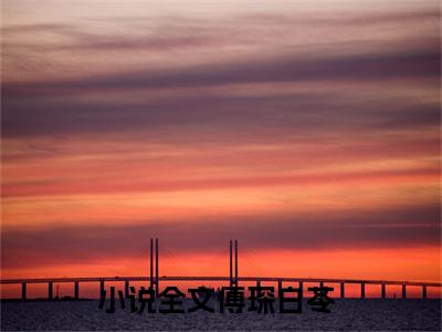 主角叫傅琛白苓的小说-傅琛白苓最新章节在线阅读
