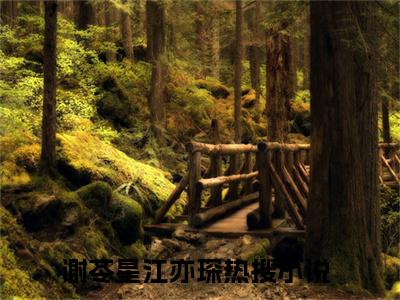 谢苓星江亦琛（谢苓星江亦琛小说）在线阅读全文-谢苓星江亦琛小说免费阅读完结版全文