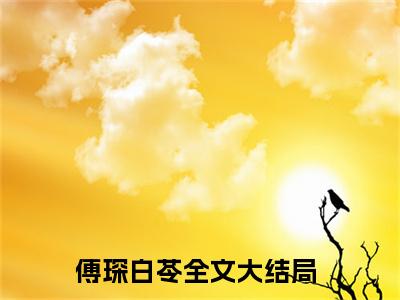 主角傅琛白苓小说免费阅读全文傅琛白苓-傅琛白苓小说番外傅琛白苓全文阅读