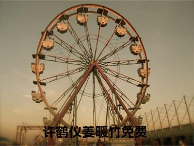 许鹤仪姜暖竹全文免费大结局 许鹤仪姜暖竹小说在线阅读