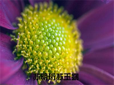 苏明珩苏玉窈热门的小说窈窈藏春，王爷今天求娶了吗最新更新苏明珩苏玉窈-苏明珩苏玉窈无删减版