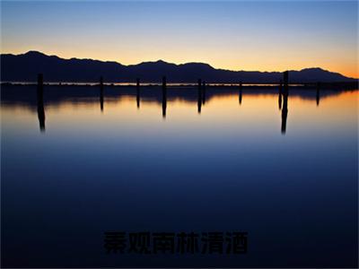 秦观南林清酒（秦观南林清酒）全文免费阅读无弹窗大结局_秦观南林清酒免费最新章节列表_笔趣阁（秦观南林清酒）