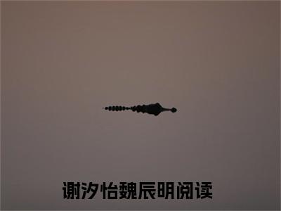 谢汐怡魏辰明（谢汐怡魏辰明全文免费阅读）小说最新章节_谢汐怡魏辰明全文免费阅读最新章节列表_笔趣阁