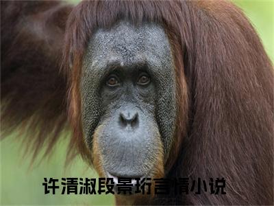 许清淑段景珩（许清淑段景珩）无弹窗小说免费阅读_许清淑段景珩最新章节免费阅读_笔趣阁