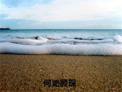 何沁顾琛（何沁顾琛）全文免费阅读无弹窗大结局_何沁顾琛最新章节列表_笔趣阁