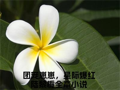 《团宠崽崽，星际爆红陆黎栀》小说好看吗-团宠崽崽，星际爆红陆黎栀最后结局如何《团宠崽崽，星际爆红陆黎栀》在线赏析全文