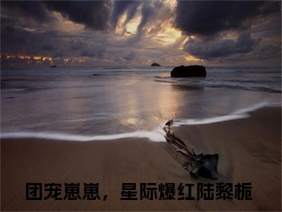 团宠崽崽，星际爆红陆黎栀最后结局 团宠崽崽，星际爆红陆黎栀完结版免费阅读
