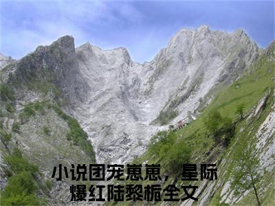 团宠崽崽，星际爆红陆黎栀全文小说（团宠崽崽，星际爆红陆黎栀）在线阅读无弹窗大结局_团宠崽崽，星际爆红陆黎栀全文在线阅读无弹窗