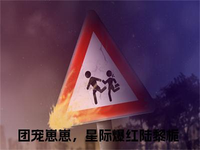 团宠崽崽，星际爆红陆黎栀（团宠崽崽，星际爆红陆黎栀）全文阅读-（团宠崽崽，星际爆红陆黎栀）小说免费阅读最新章节