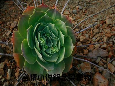 舒念染霍钧(舒念染霍钧）小说全文免费阅读无弹窗大结局_（舒念染霍钧）小说全文免费阅读最新章节列表笔趣阁