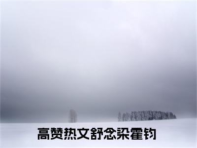 最火言情小说（舒念染霍钧）-老书虫良心推荐舒念染霍钧（舒念染霍钧）小说精彩免费试读