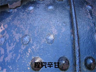 程究辛甘（程究辛甘免费小说）全文免费阅读无弹窗大结局_程究辛甘免费小说最新章节列表_笔趣阁