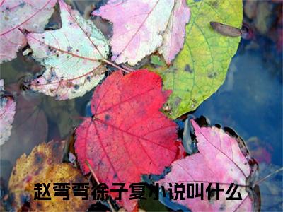 赵弯弯徐子复(赵弯弯徐子复）小说全文免费阅读无弹窗大结局_（赵弯弯徐子复）赵弯弯徐子复小说全文免费阅读最新章节列表笔趣阁（赵弯弯徐子复）