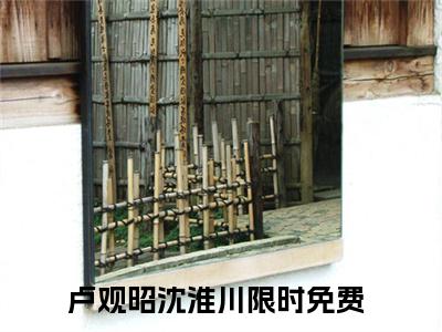 卢观昭沈淮川小说免费阅读-（卢观昭沈淮川）言情小说卢观昭沈淮川讲的是什么
