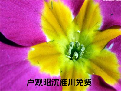 卢观昭沈淮川全文(卢观昭沈淮川)全文免费阅读无弹窗大结局_(卢观昭沈淮川全文免费阅读全文大结局)卢观昭沈淮川最新章节列表_笔趣阁（卢观昭沈淮川全文）
