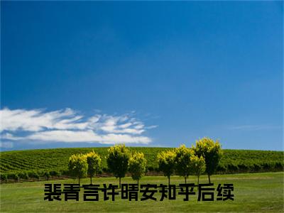 裴青言许晴安小说完整版大结局-裴青言许晴安小说完结版在线阅读