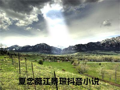 夏念薇江景琛最新免费小说全文在线阅读无弹窗大结局_（夏念薇江景琛全文在线阅读无弹窗）
