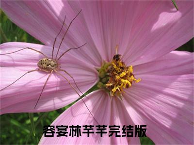 容宴林芊芊(容宴林芊芊小说）全文免费阅读无弹窗大结局_ 容宴林芊芊小说容宴林芊芊最新章节列表_笔趣阁（容宴林芊芊）