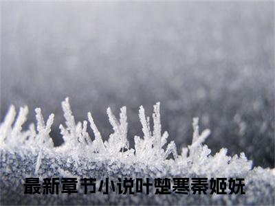 叶楚寒秦姬妩(叶楚寒秦姬妩)全文免费阅读无弹窗大结局_ 叶楚寒秦姬妩免费阅读最新章节列表_笔趣阁