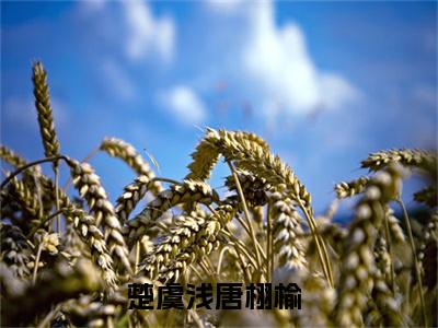 楚虞浅唐栩榆正版小说最新章节在线阅读-（楚虞浅唐栩榆）全文无弹窗阅读