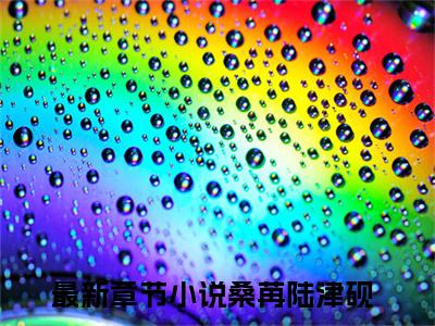 桑苒陆津砚(桑苒陆津砚)全文免费阅读无弹窗大结局_(桑苒陆津砚)免费阅读无弹窗最新章节列表