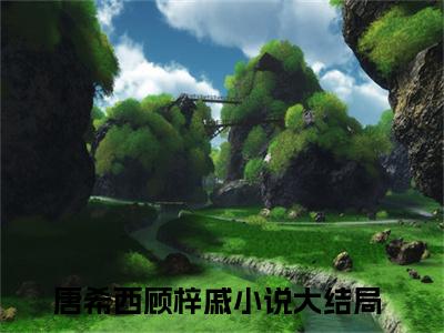 唐希西顾梓戚小说（唐希西顾梓戚）完整版大结局-唐希西顾梓戚小说免费阅读
