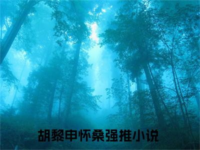 胡黎申怀桑阅读无弹窗大结局_胡黎申怀桑穿越小说免费阅读_笔趣阁