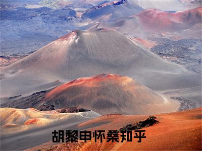 胡黎申怀桑最新章节（胡黎申怀桑）全文免费阅读无弹窗大结局_胡黎申怀桑全文免费阅读