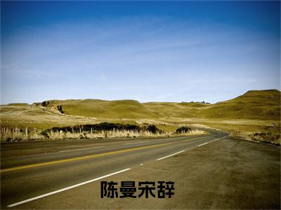 热推新书陈曼宋辞小说全文（陈曼宋辞）全文免费阅读_陈曼宋辞最新章节无弹窗阅读