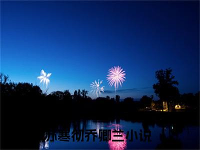 苏寒彻乔卿兰全文免费阅读无弹窗大结局_(苏寒彻乔卿兰免费阅读)苏寒彻乔卿兰无弹窗最新章节列表_笔趣阁