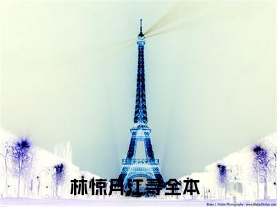 林惊月江寻免费小说 林惊月江寻完结版在线阅读