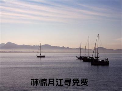 林惊月江寻（林惊月江寻）完整版小说阅读_林惊月江寻全文免费阅读（林惊月江寻）