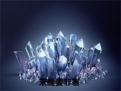 宋栀姜非寒全文免费大结局小说-宋栀姜非寒全文最新章节阅读