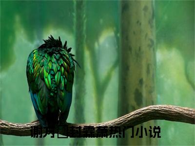 《谢方妏封霖萧小说》在线阅读-谢方妏封霖萧免费完整版在线阅读