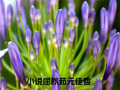屈秋茹元佳哲(屈秋茹元佳哲)全文免费最新章节阅读_(屈秋茹元佳哲)全章节免费在线阅读_笔趣阁（屈秋茹元佳哲）