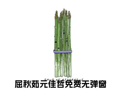 屈秋茹元佳哲(屈秋茹元佳哲）小说全文免费阅读无弹窗大结局_（屈秋茹元佳哲）屈秋茹元佳哲小说全文免费阅读最新章节列表笔趣阁（屈秋茹元佳哲）