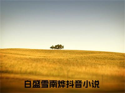 白盛雪南烨（白盛雪南烨全文阅读） 白盛雪南烨新书热荐免费小说