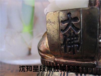 沈知星段渠小说最新章节-沈知星段渠在线全文免费阅读