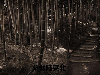 桑倾陆宴北全文免费阅读无弹窗-桑倾陆宴北小说全文在线阅读笔趣阁