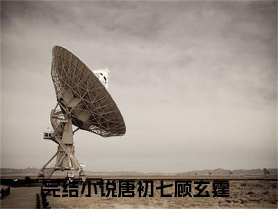 唐初七顾玄霆（唐初七顾玄霆）大结局免费小说无弹窗-唐初七顾玄霆完整版阅读-笔趣阁