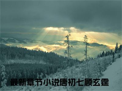 唐初七顾玄霆（唐初七顾玄霆）全文免费阅读无弹窗大结局_唐初七顾玄霆免费最新章节列表_笔趣阁