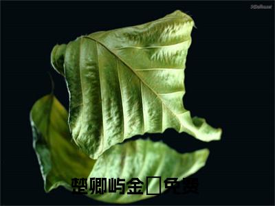 楚卿屿金玥（楚卿屿金玥）小说全文免费阅读正版无弹窗_(楚卿屿金玥)最新章节列表