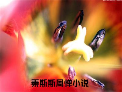 秦斯斯周惮全文免费阅读无弹窗大结局_（秦斯斯周惮）全文在线阅读大结局