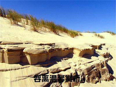 容离温馨(容离温馨）全文免费阅读无弹窗大结局_ 容离温馨最新章节完整版阅读