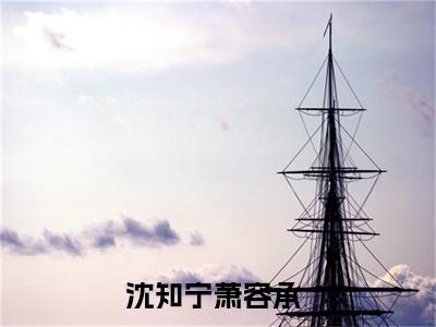 (沈知宁萧容承)沈知宁萧容承小说免费沈知宁萧容承读无弹窗最新章节列表_笔趣阁（沈知宁萧容承）