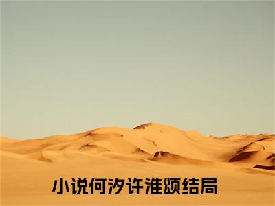 快手热推何汐许淮颂（何汐许淮颂）最新小说大结局-小说全文免费在线赏析